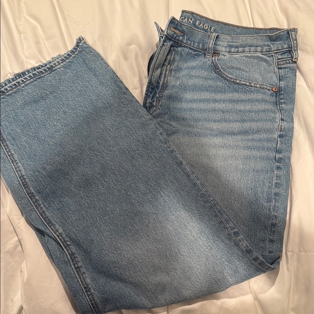 American Eagle Outfitters Light Blue Denim Stovepipe Jeans